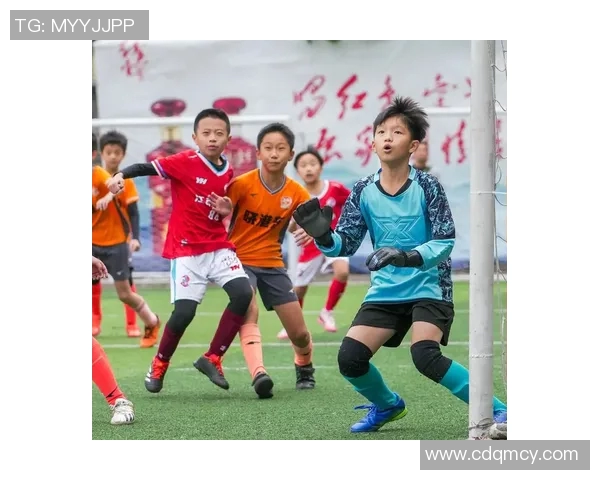 校园足球明星牌照图片展示与解读助力青少年足球发展新风潮 校园足球明星牌照图片展示与解读助力青少年足球发展新风潮