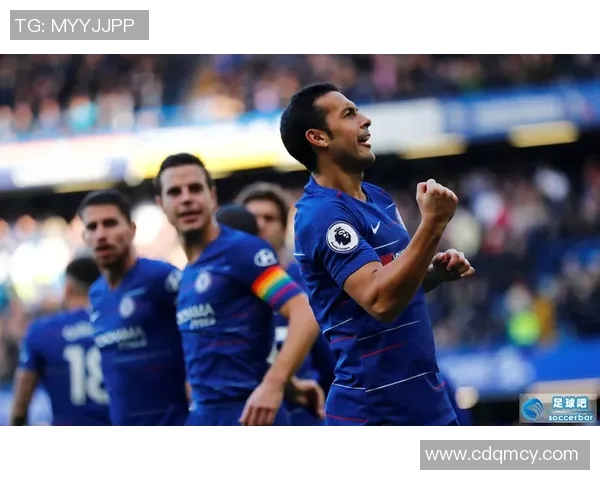 足球明星哈里斯的职业生涯与成就揭秘及其在足球界的影响力分析