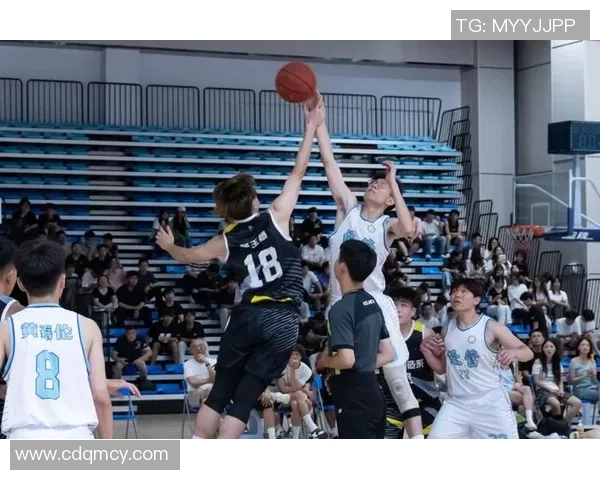 全民篮球明星盛典点燃热情展现青春风采与竞技魅力的篮球盛宴