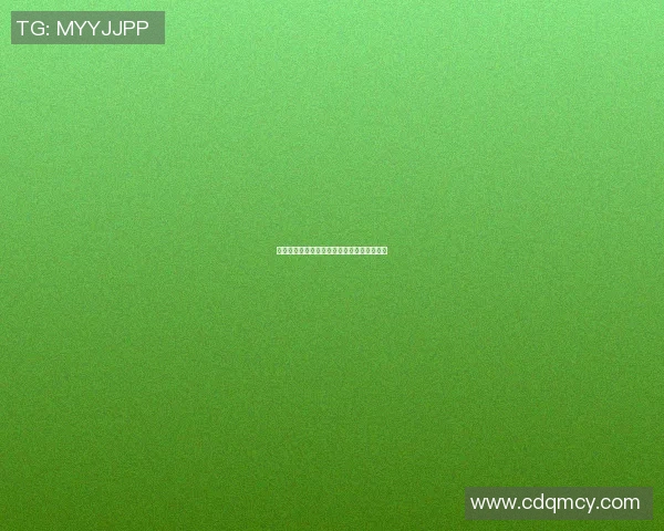 阳谷篮球明星的崛起之路与未来发展潜力分析