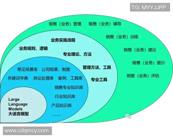 中国足球发展历程与现状分析及未来展望的全面研究报告