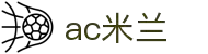 ac米兰(中国)·官方_追求全球领域的平台